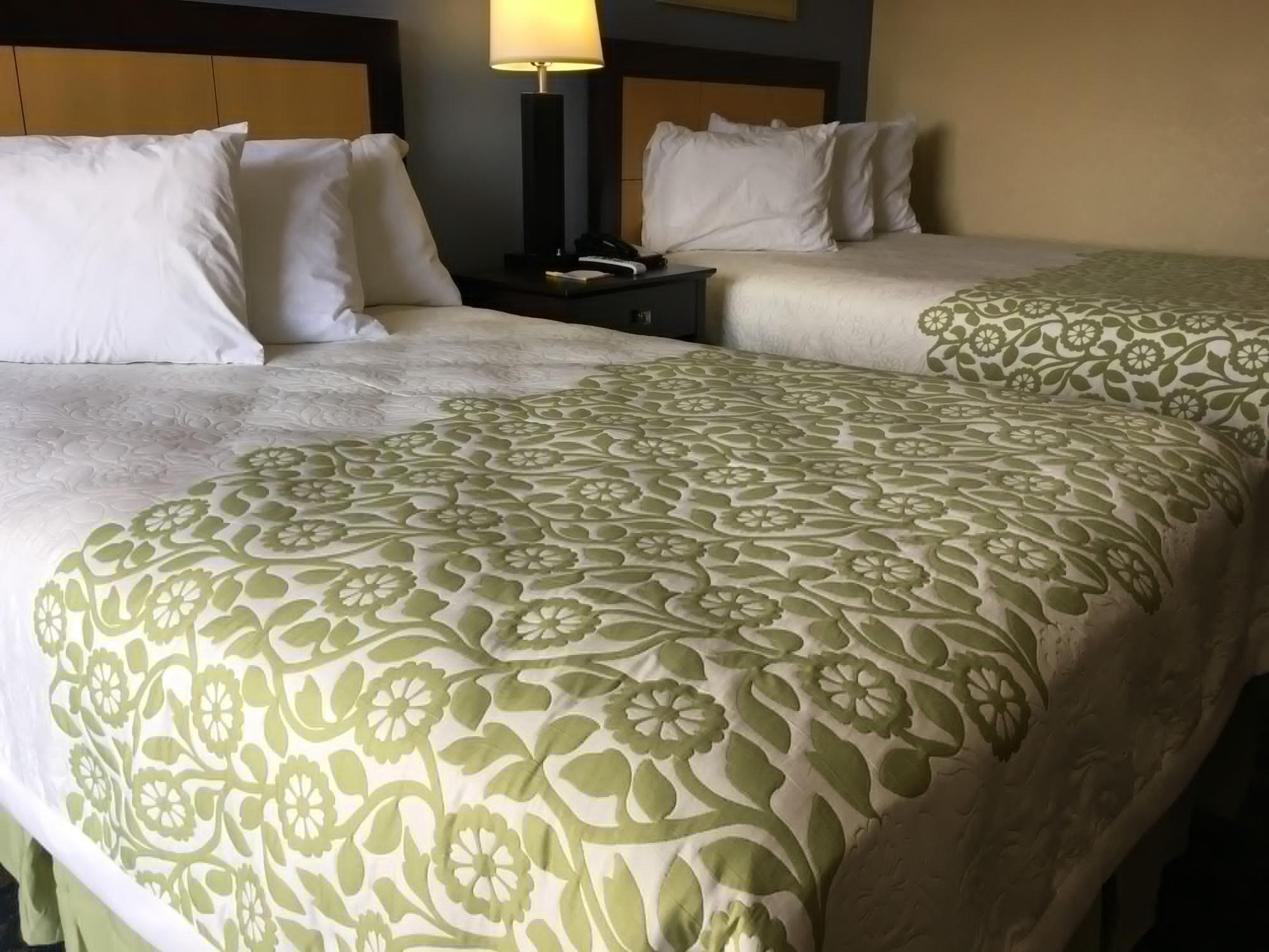 Days Inn & Suites By Wyndham Tampa - Ybor City Buitenkant foto